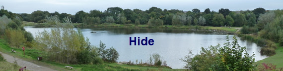 Hide