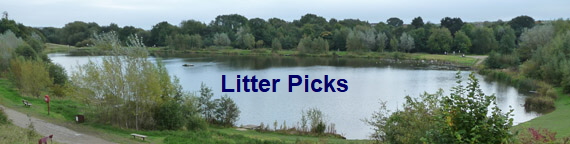 Litter Picks